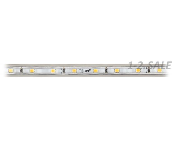 730938 - ЭРА Лента св/д 4,8W/m 220V 60Led/m 2700K IP67 теплый белый 20м LS2835-4,8-60-220-2700К-IP67-20m 3758 (7)