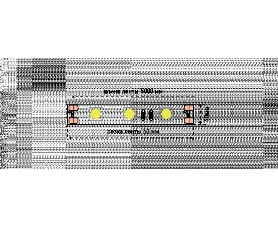 733806 - SWG Лента св/д (5м, цена за 1м) ECO-SWG560-12-14.4-W (1)