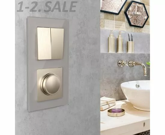 732908 - Werkel мех. выкл. СУ 2 кл. 10A (шампань рифленый) W1120010 a051423 (3)