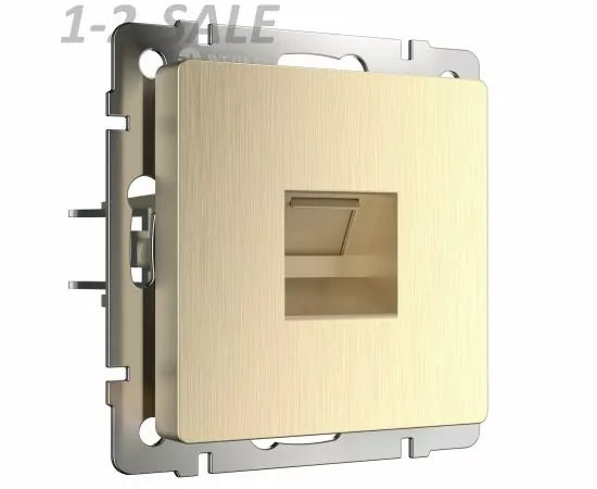 732918 - Werkel мех. роз. СУ 1 мест. Ethernet RJ-45 (шампань рифленый) (WL10-RJ-45 a035627)W1181010 a051424 (5)