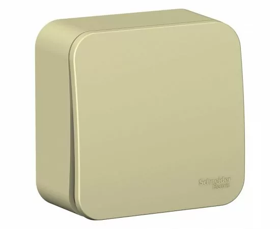 763970 - Systeme Electric BLANCA выкл. ОУ 1кл. беж. (пл.осн., изол.пл.) BLNVA101017 (15!) (1)