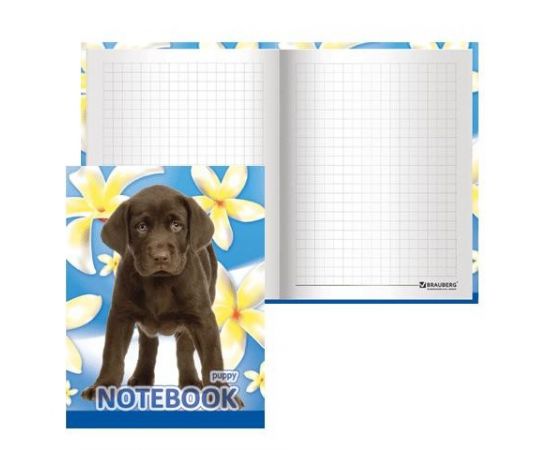 320029 - Блокнот Notebook BRAUBERG, А6, 110*147мм, выбор. лак, Собачка, тв. лам. обложка, 80л., 123240 (1)