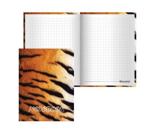 320030 - Блокнот Notebook BRAUBERG, А6, 110*147мм, выбор. лак, Тигровый, тв. лам. обложка, 80л., 123244 (1)