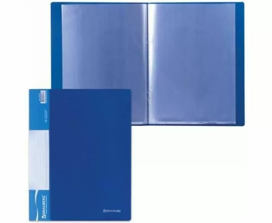 321845 - Папка  10 вклад. BRAUBERG Стандарт синяя, 0,5мм (1)