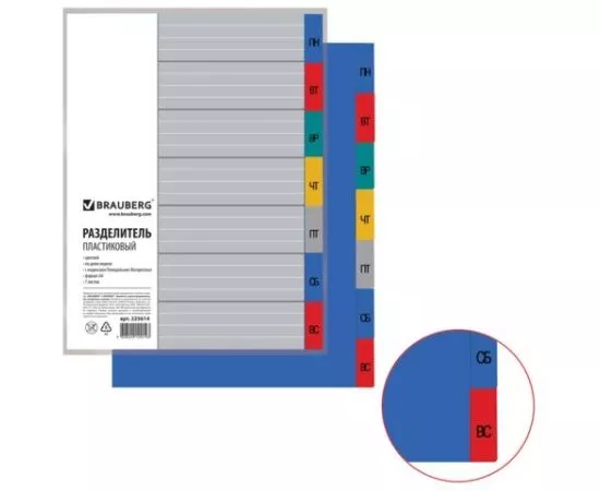 665134 - Разделитель пластиковый BRAUBERG, А4, 7 листов, по дням недели, цветной 225614 (1)