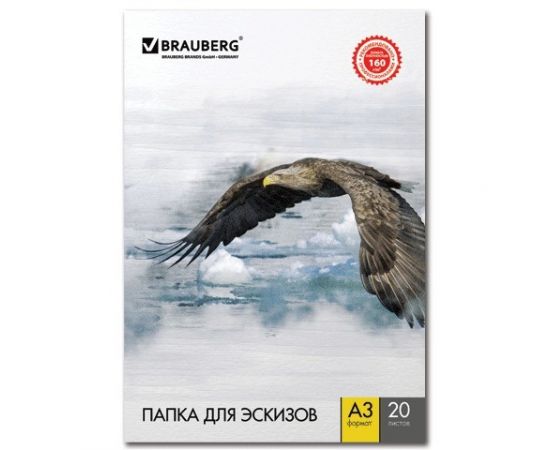 666160 - Папка д/рисования А3, 297х420мм, 20 л., BRAUBERG внутр. блок 160г/м2 125228 (1)