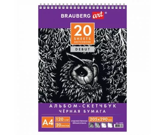 744268 - Скетчбук, черная бумага 120 г/м2, 205х290 мм, 20 л., гребень, жёсткая подложка, BRAUBERG ART DEBUT (1)