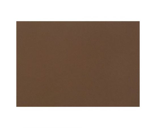 745503 - Бумага для пастели (1 лист) FABRIANO Tiziano А2+ (500х650 мм), 160 г/м2, кофейный, 52551009 (1)