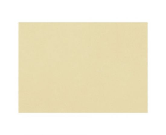 745507 - Бумага для пастели (1 лист) FABRIANO Tiziano А2+ (500х650 мм), 160 г/м2, песочный, 52551006 (1)