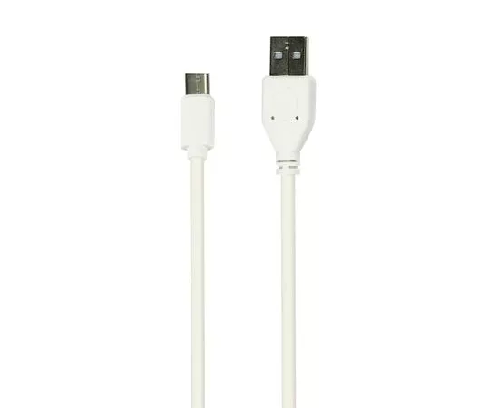 695555 - Дата-кабель Smartbuy USB 2.0 - USB TYPE C, белый, длина 1 м (iK-3112 white)/500 (1)
