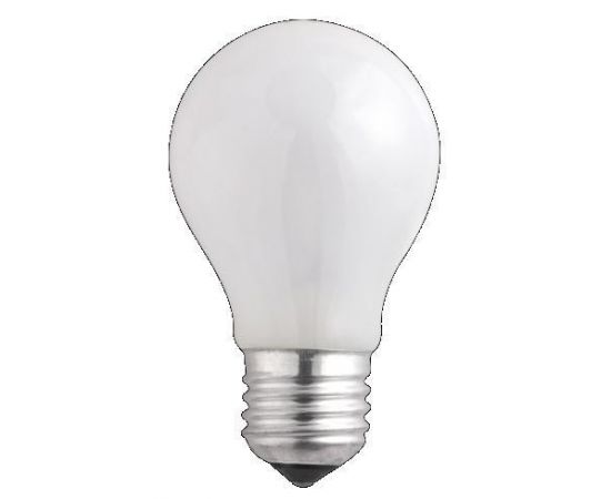 165931 - Лампа накаливания Jazzway A55 E27 75W ЛОН матовая (1)