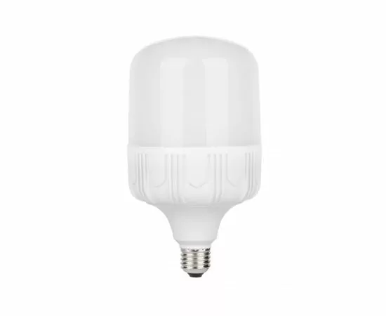 575780 - HOROZ высокомощн. E27 40W (3000lm) 6400K 6K 218х114мм алюм/матов. (замена ДРВ) 001-016-0040 (1)