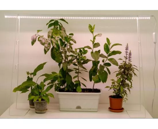 833819 - Uniel подставка для свет-ка для растений (фито) h=400-500-800мм металл/бел UFP-G22S H80/60/40 WHITE (1)