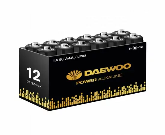 841767 - Э/п Daewoo Power Alkaline LR03/286 рack-12 (72!) (1)