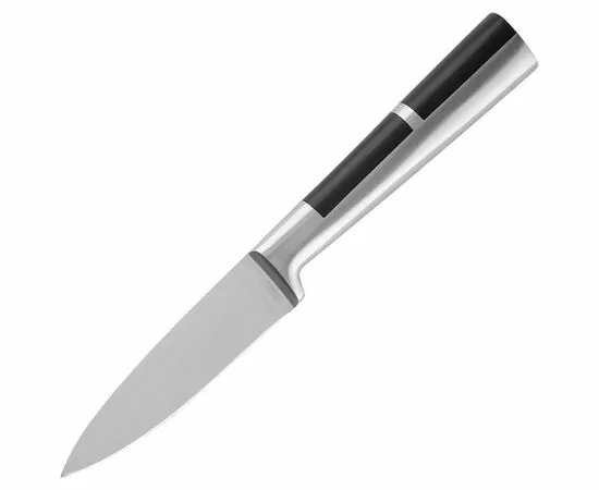 876974 - Нож д/овощей PROFI, лезвие 9 см, цельнометалич со вставкой пластик 106019 Leonord (1)