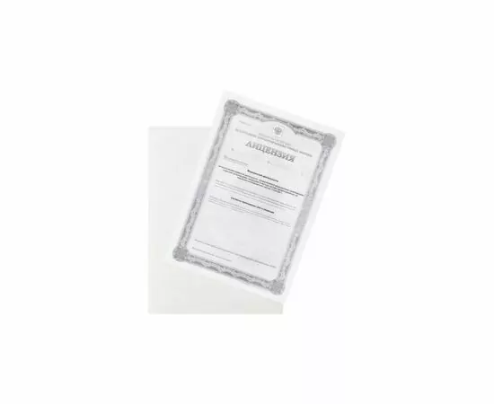 48432 - Папка уголок п/э цв. E-100/00T прозр. Россия 495371 (4)