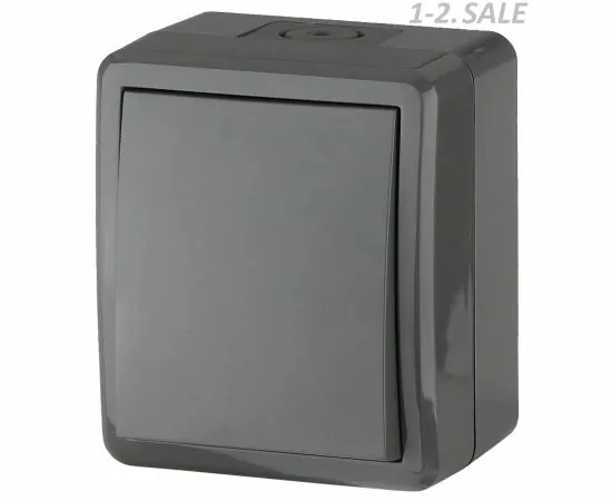 659221 - ЭРА Эксперт выкл. ОУ 1 кл. 10А серый (PC) IP54 11-1401-03 (1)
