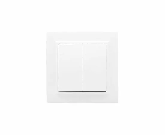 600907 - EKF Минск выкл. СУ 2кл. 10А бел. ERV10-023-10 (2)