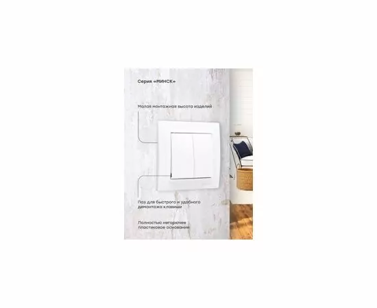 600907 - EKF Минск выкл. СУ 2кл. 10А бел. ERV10-023-10 (12)