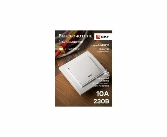 600902 - EKF Минск выкл. СУ 1 кл. 10А бел. (инд)  ERV10-121-10 (9)