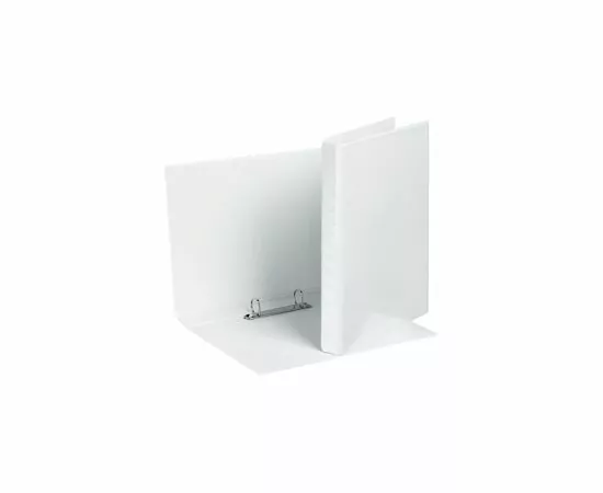 604866 - Папка на 2-х D-кольцах Attache ПАНОРАМА 25мм Россия 611479 (3)