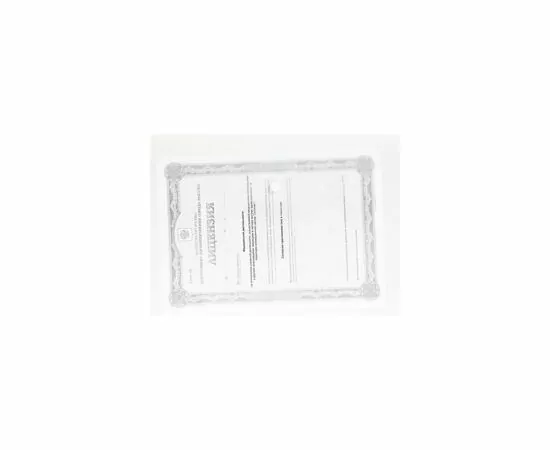 631644 - Папка конверт на кнопке А4 100мкм прозрачный 10шт в уп. (4)