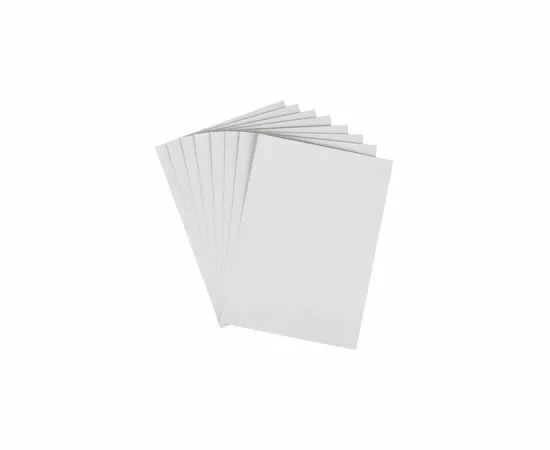 701416 - Картон белый №1 School 8л,А4 мелованный Отличник 897817 (4)