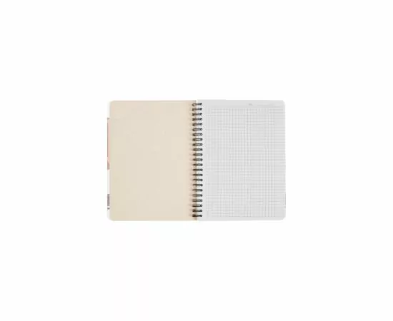 701473 - Тетрадь №1 School Лиса 96л., пластиковая обл., запечат.лист, пружина 810171 (7)