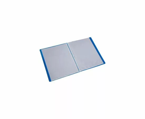701878 - Папка с файлами на 10 Attache Label синий 926640 (4)