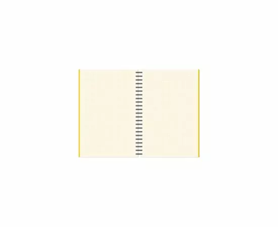 701714 - Бизнес-тетрадь A4,150л,кл,плас.спир.Attache Selection SPRING BOOK жел 84232 1014471 (5)