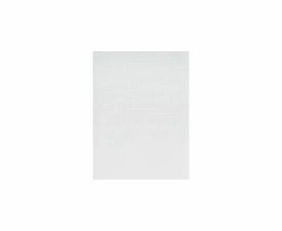 755106 - Тетрадь общая А4,80л,клетка,скоба Побережье ТО80А49507 5видов 992387 (5)