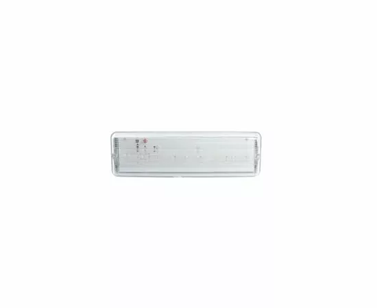 799114 - Feron св-к св/д аварийный 20LED AC/DC IP65 белый c наклейкой ВЫХОД 340x110x80 EM101 41536 (8)