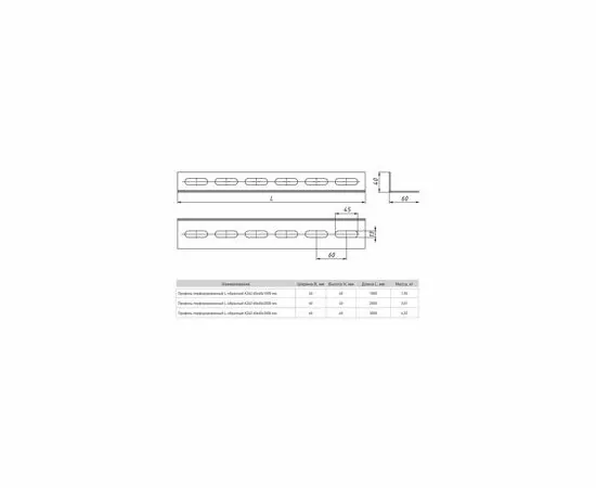 729197 - EKF Профиль перфор. L-образный К242 60х40х1000мм ppl6040-1-2 (3)