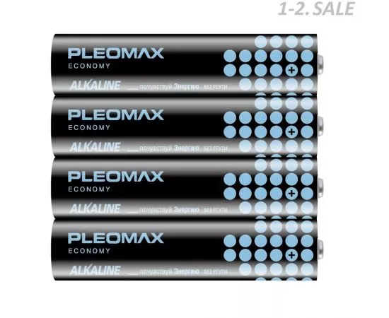 599721 - Элемент питания Pleomax Economy LR03/286 4S (1)