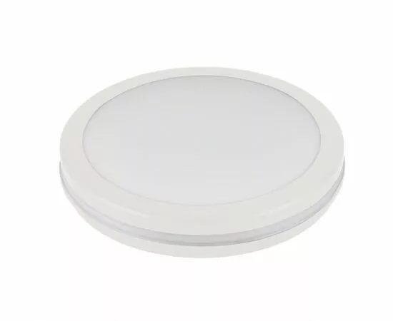 892242 - LEEK св-к св/д декор влагозащ 30W(2550lm) 2K-4K-6K белый круг 300x57 ЖКХ IP65 RBL03 LE061100-0057 (1)