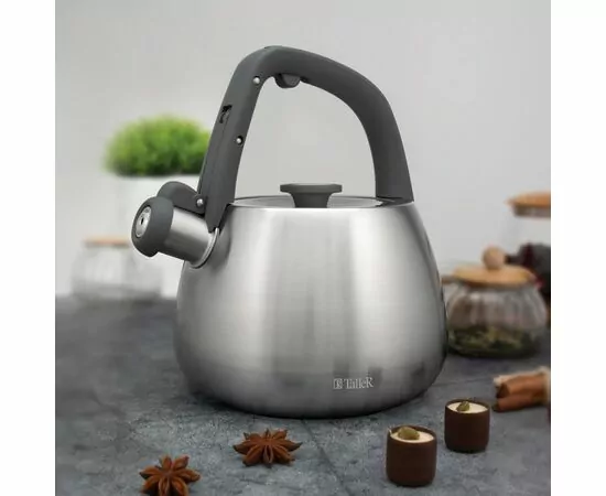 898366 - Чайник метал. со свистком Рейнард 2,2л ручка нейлон софт-тач, нерж.сталь TR-11372 TalleR (1)