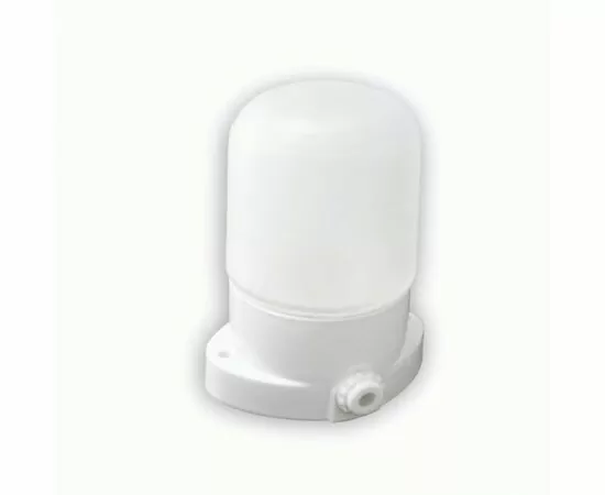 932794 - LEEK баня/сауна белый 60W IP54 прямой керам.осн/жаропрочн.стекло 150° ЖКХ НПБ OL LE061100-0065 (1)