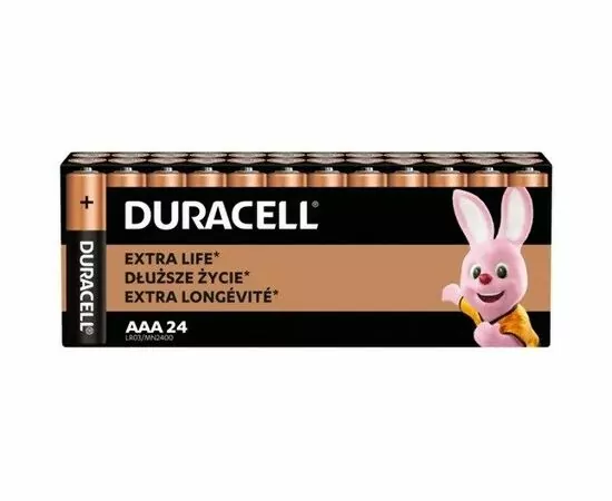 947285 - Элемент питаня Duracell Basic LR03/286/AAA BOX24 (1)