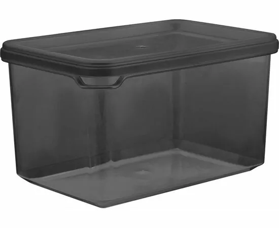 957167 - Банка для сыпучих продуктов BLACK 0,55л PT170610621 Plast Team (1)