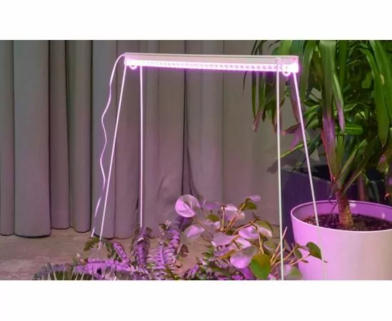 958632 - ФитоЛето св-к св/д для рассады, роста 18W 28мкм/с выкл. красно-фиол свеч L=600 ULI-P56-18W/SPBR IP20 (1)