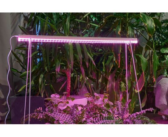 958633 - ФитоЛето св-к св/д для рассады, роста 24W 37мкм/с выкл красно-фиол. свеч L=900 ULI-P57-24W/SPBR IP20 (1)