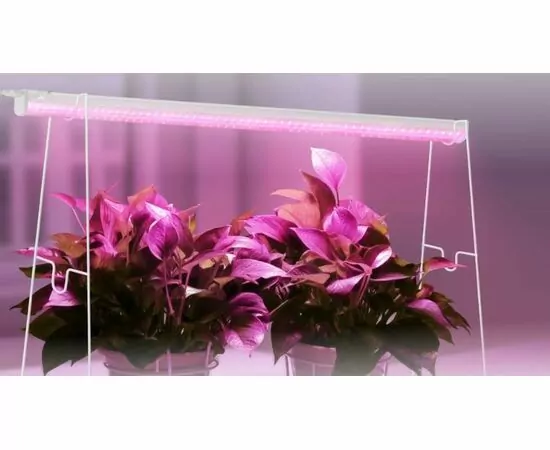 963742 - ASD/InHome св-к св/д линейн для растен 15W 22.5мкм/с полн.сп/роз 578x20 выкл 600 СПБ-Т5PRO-ФИТО 5014 (1)