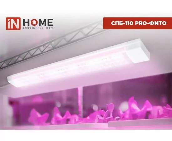 964306 - ASD/InHome св-к св/д линейн для растен 25W 37.5мкм/с полн.сп/роз  600x65x25 СПБ-110 PRO-ФИТО 4987 (1)