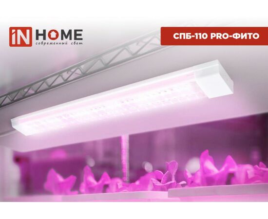 964306 - ASD/InHome св-к св/д линейн для растен 25W 37.5мкм/с полн.сп/роз  600x65x25 СПБ-110 PRO-ФИТО 4987 (1)