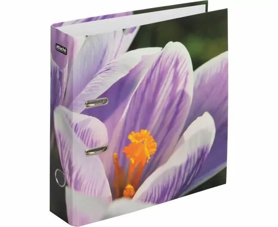 701966 - Папка регистратор Attache Selection Crocus,лам.карт,75мм 845459 (1) 701966 - Папка регистратор Attache Selection Crocus,лам.карт,75мм 845459 (1)