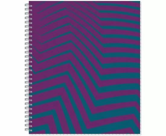 702562 - Тетрадь общая Attache Lines Star, 96л, пружина, УФ-лак 810677 (1)