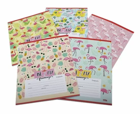755726 - Тетрадь школьная А5,12л,клетка ФЛАМИНГО 12-3492 5видов 1024989 (1)