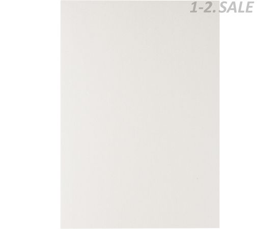 435355 - Обложки для переплета картонные ProMega Office белый, металлик, A4, 250 г/м2, 100шт/уп (2)