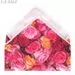 613622 - Салфетка из микрофибры 30*30см,220гр/м2,с рисунком,Голландские цветы,60160/Master House (5)
