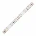 556838 - Ecola Лента св/д 12V 8W/m 60Led/m IP65 4200K 5м 720Lm/m (гермет) PRO SMD3528 P5LV08ESB (1)